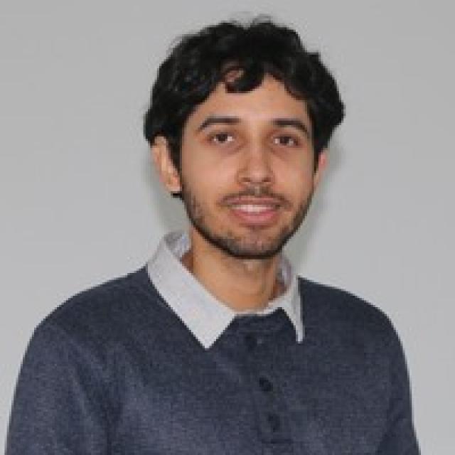 David A Liñán