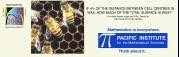 bees bus poster